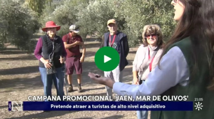 Jaén, el gran Mar de Olivos del mundo del Aceite.&nbsp;