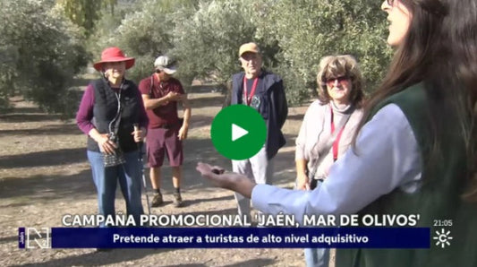 Jaén, el gran Mar de Olivos del mundo del Aceite.&nbsp;