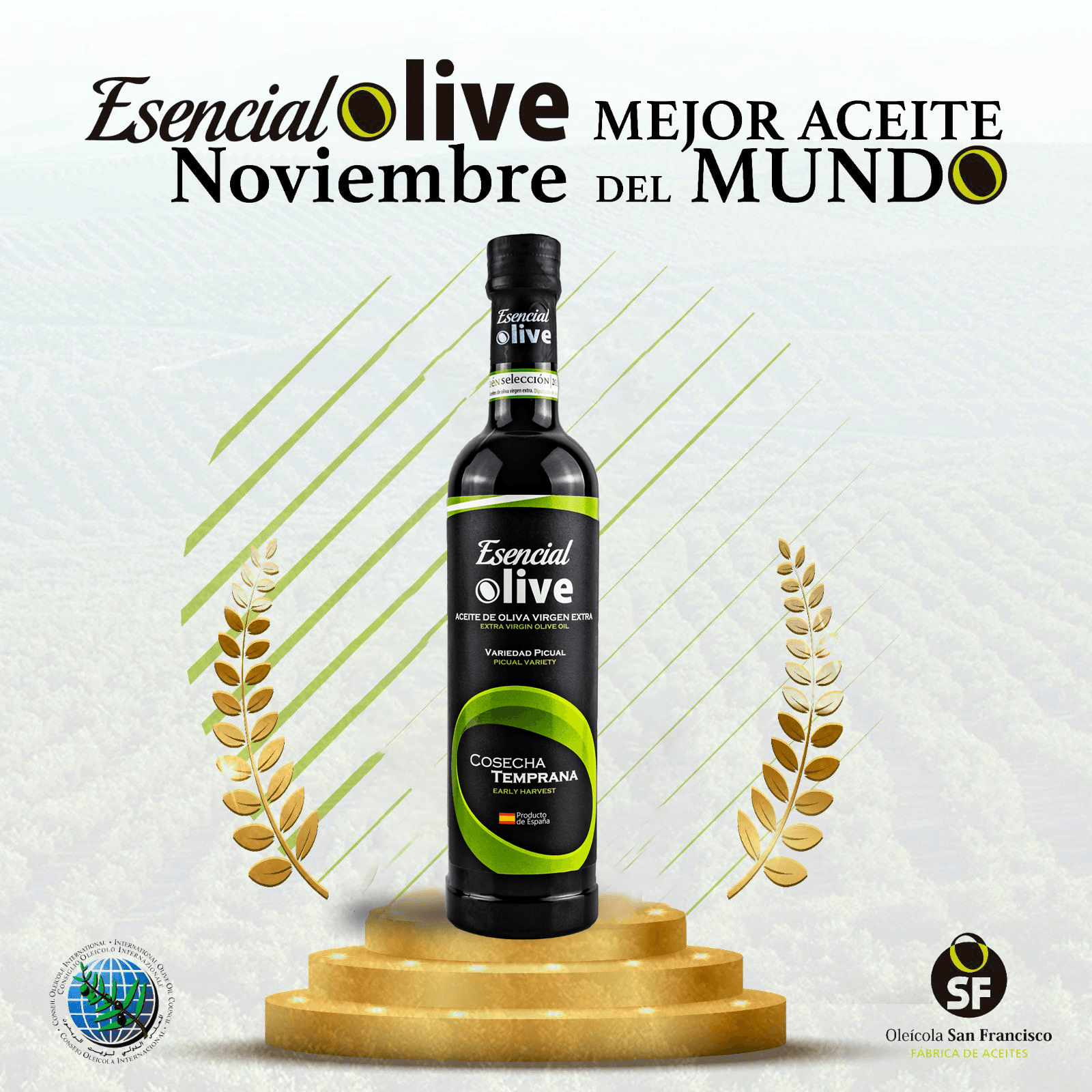 ESENCIAL OLIVE NOVIEMBRE