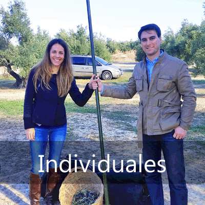 VISITA GUIADA A LA ALMAZARA