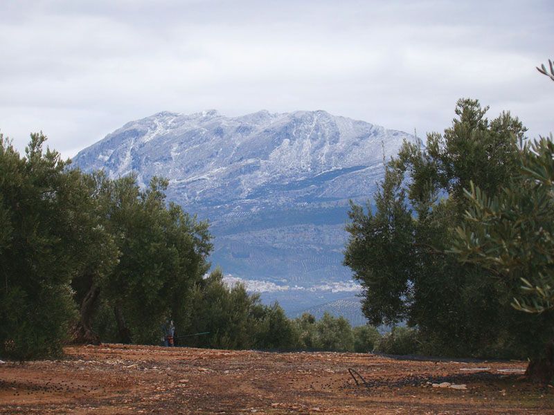Finca Ninchez