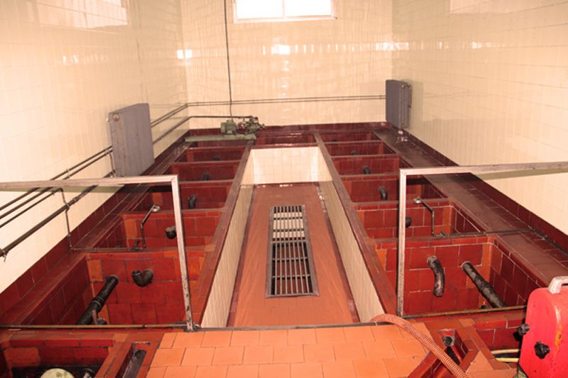Sala de pozuelos, años 80