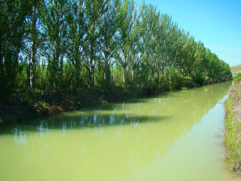 Finca San Miguel